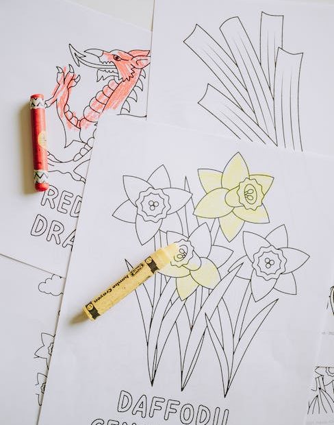 Coloring Pages for Children Partly Colored