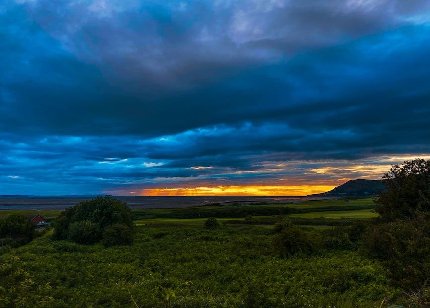 Beautiful landscape of green field