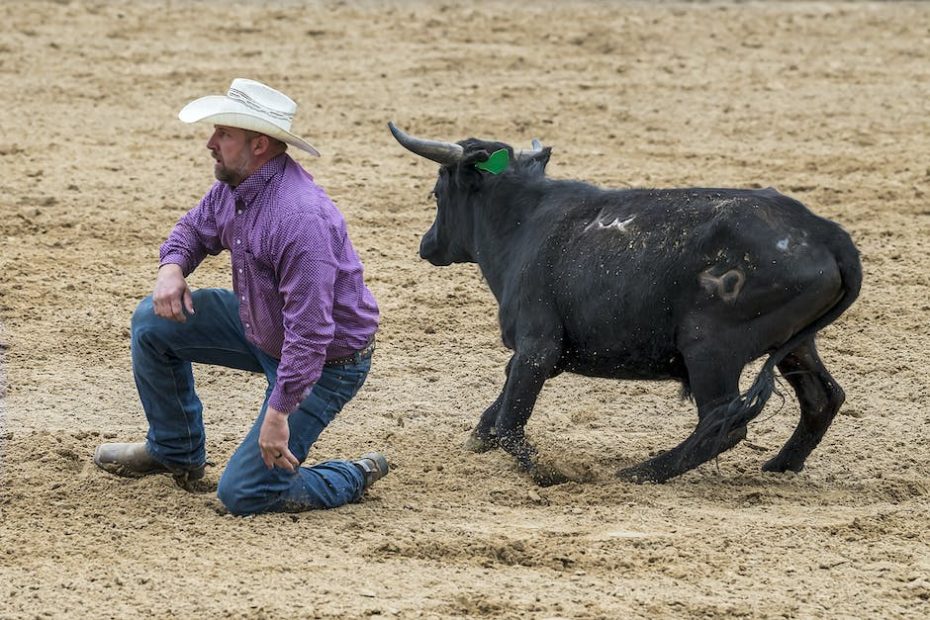 Man and Bull on Rodeo