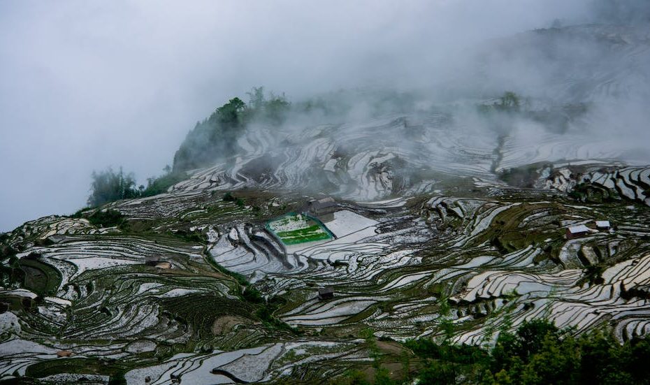 Free stock photo of eruption, fog, lake